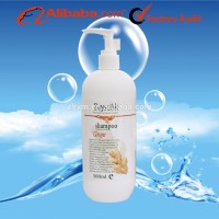 Baysdisk Silicone-Free Ginger Anti Hair Loss Shampoo 500ml